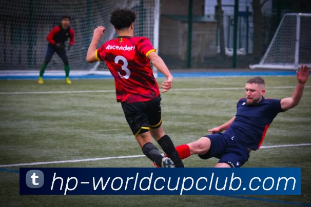 奖项证书